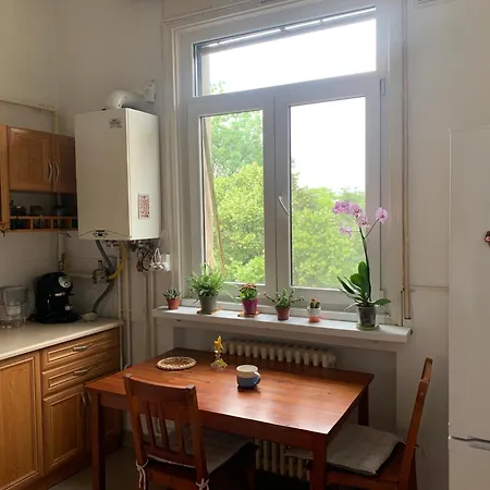 Cozy Homestay Bucharest