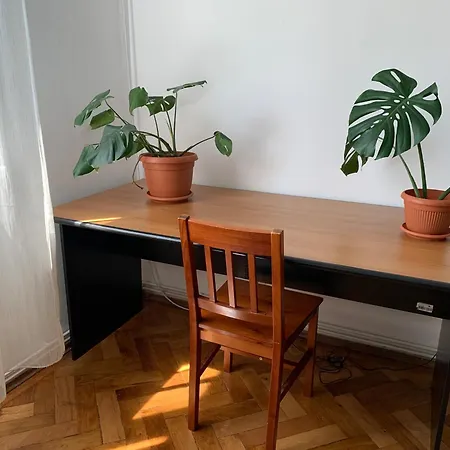 Homestay Cozy