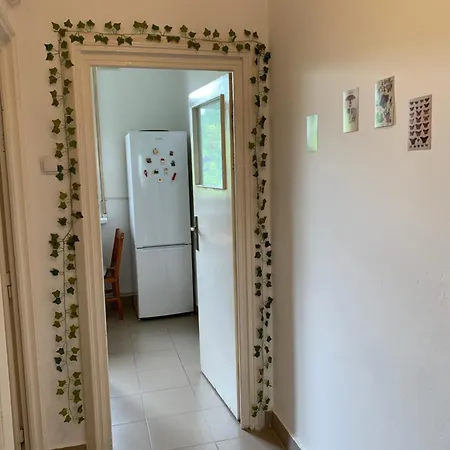 Cozy * Bukurešť